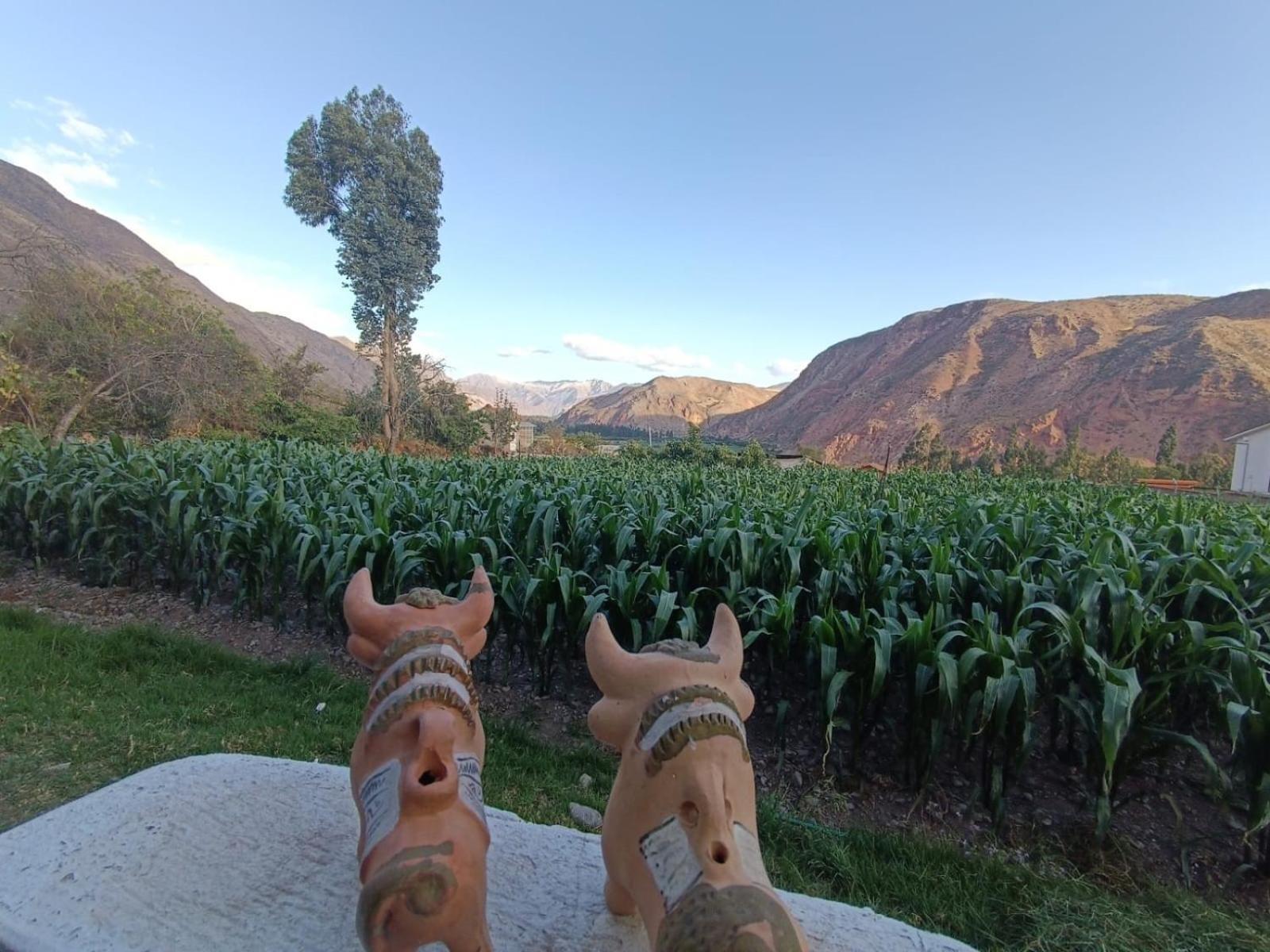 Casa Yanahuara Valle Sagrado - 乌鲁班巴 外观 照片